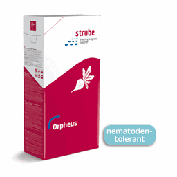 Zeige Details für Zuckerrübensaatgut - Orpheus Bild von Zuckerrübensaatgut - Orpheus